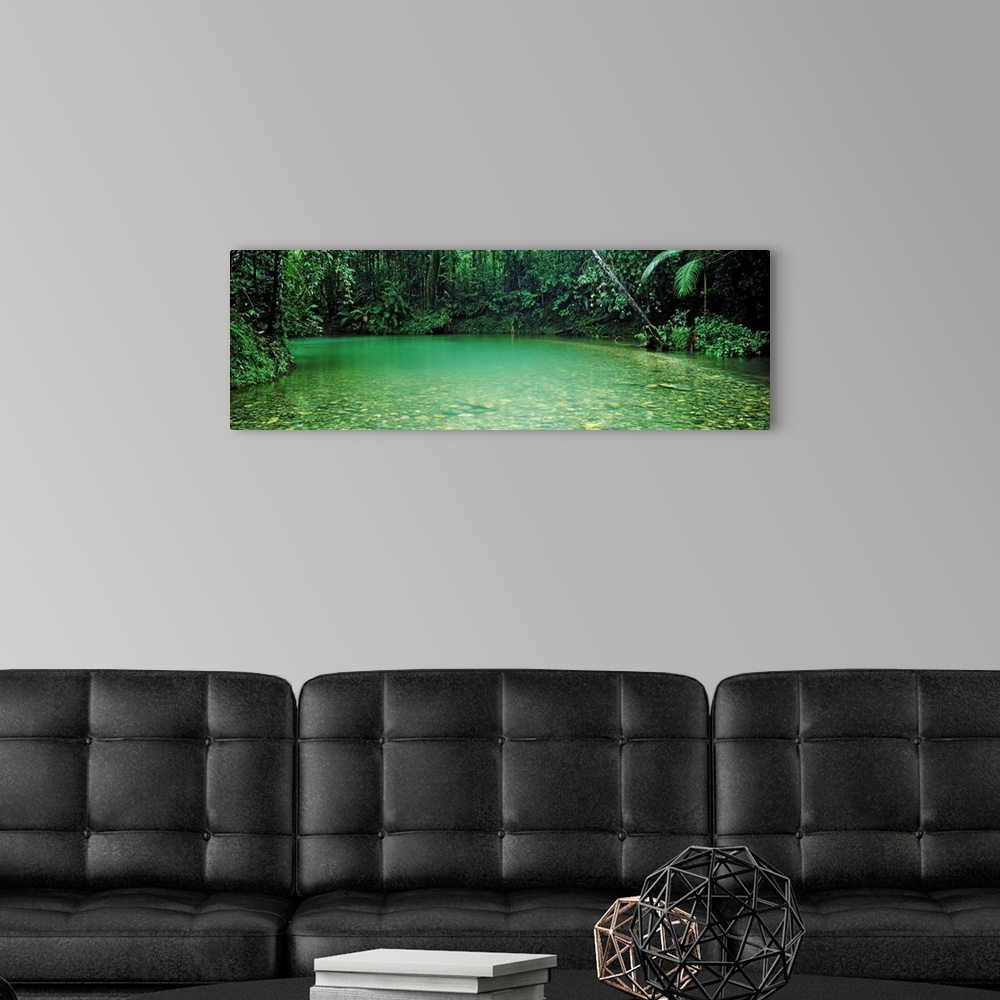 A modern room featuring Cooper creek flowing through a forest, Queensland, Australia