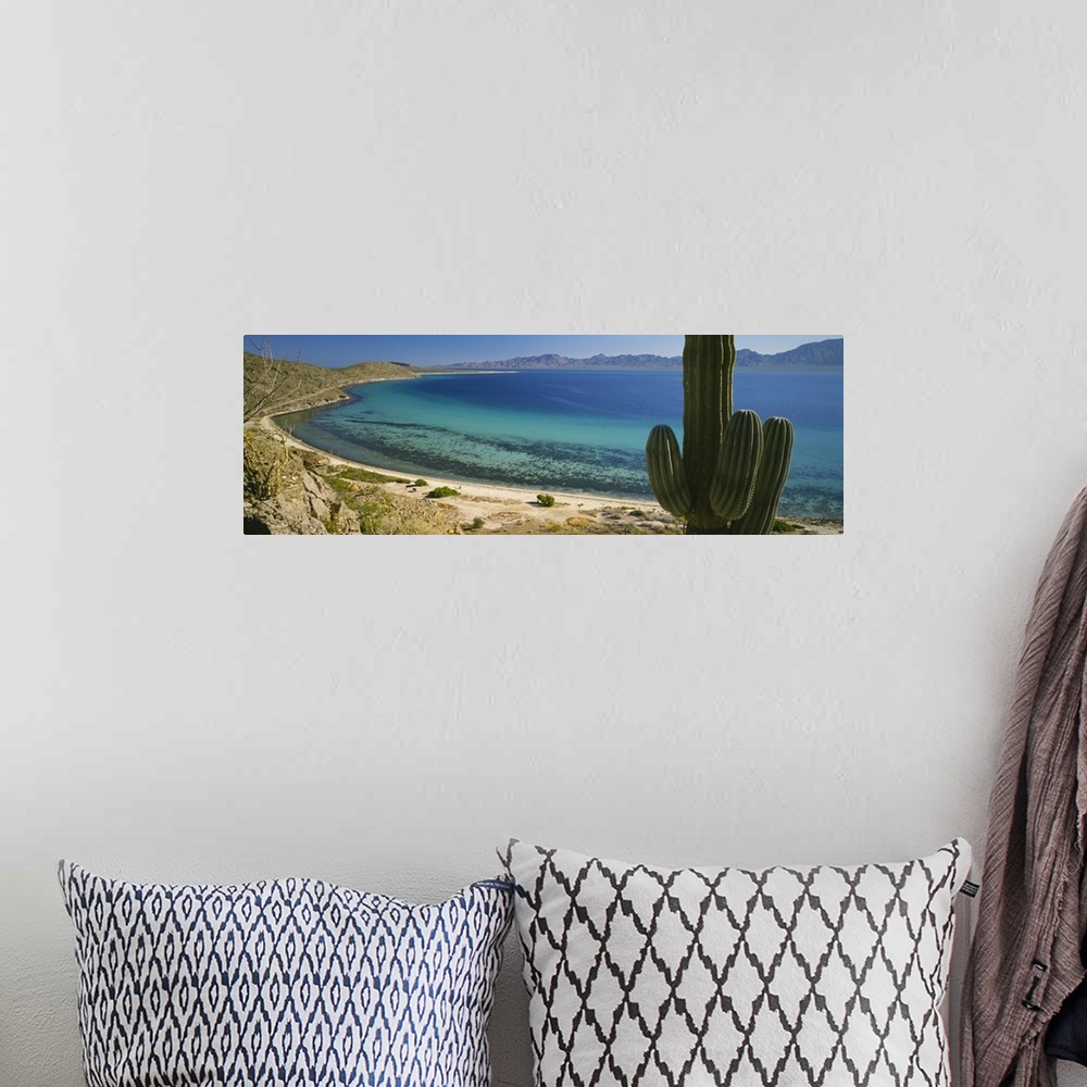 A bohemian room featuring Panoramic photo of a large cactus on a desert landscape that meets the ocean.