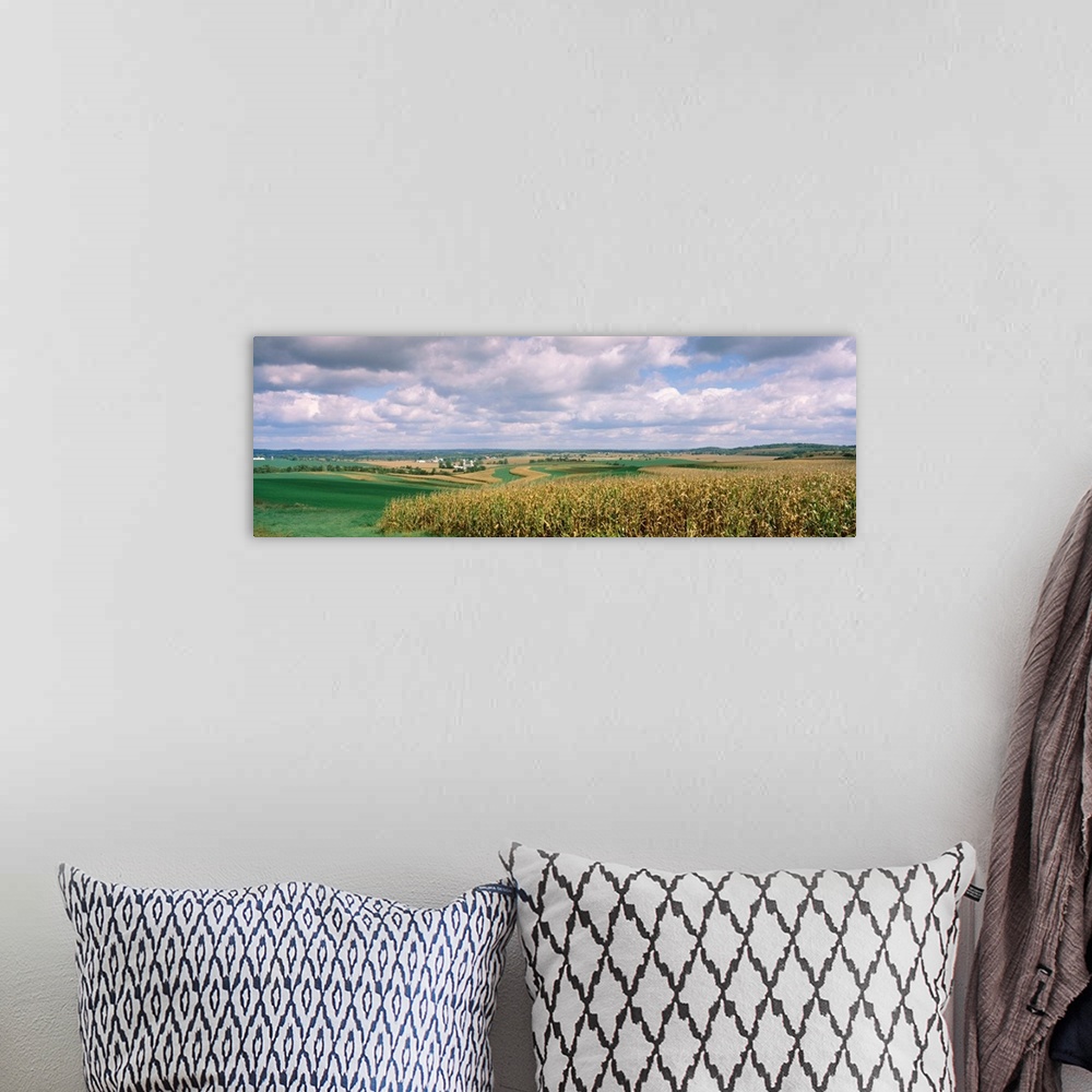 A bohemian room featuring Corn and alfalfa fields, Green County, Wisconsin, USA