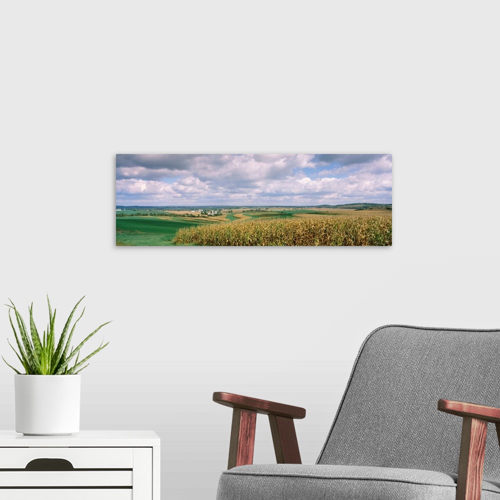A modern room featuring Corn and alfalfa fields, Green County, Wisconsin, USA