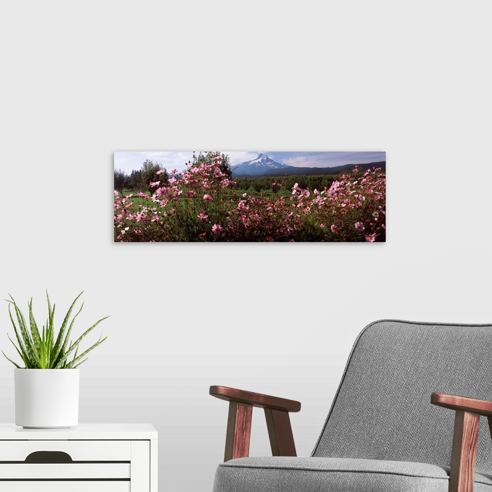 A modern room featuring Cosmos, Mt. Hood, Upper Hood River Valley, Hood River County, Oregon