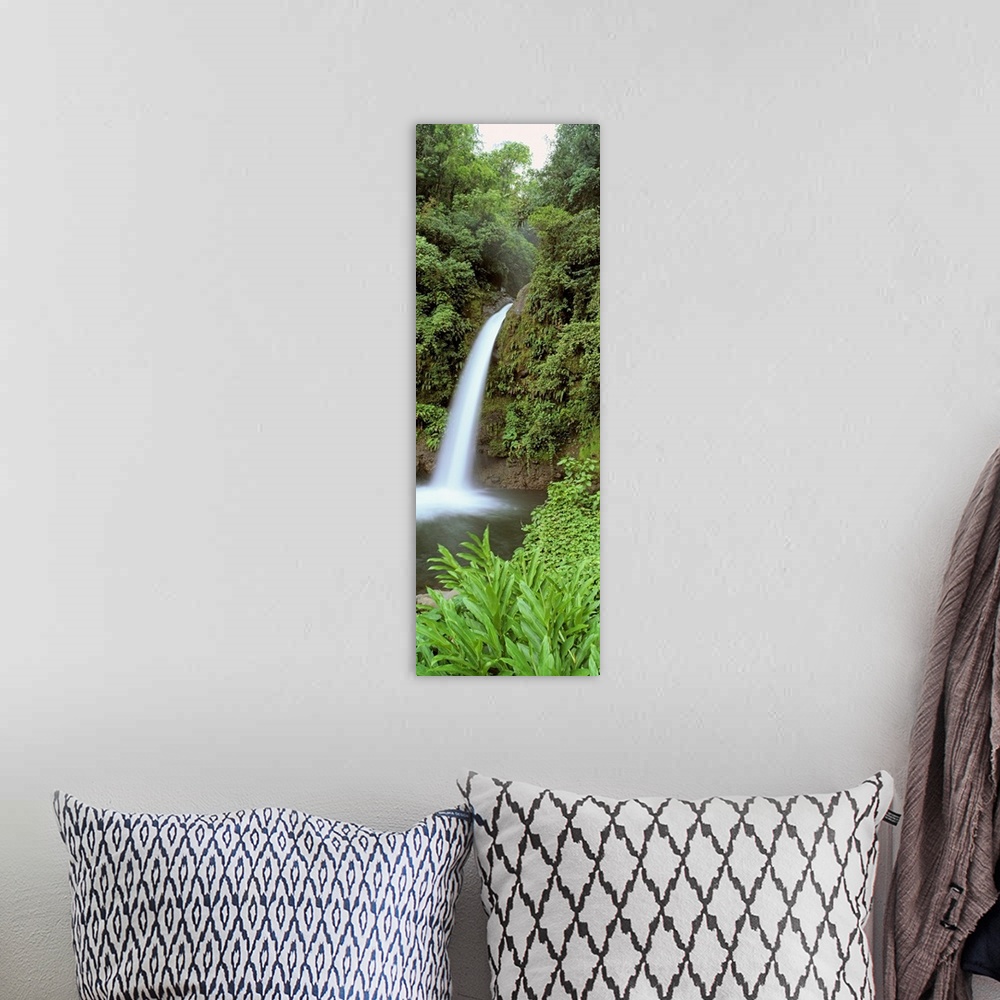 A bohemian room featuring Costa Rica, Catarata La Paz Waterfall, View of a waterfall in a forest