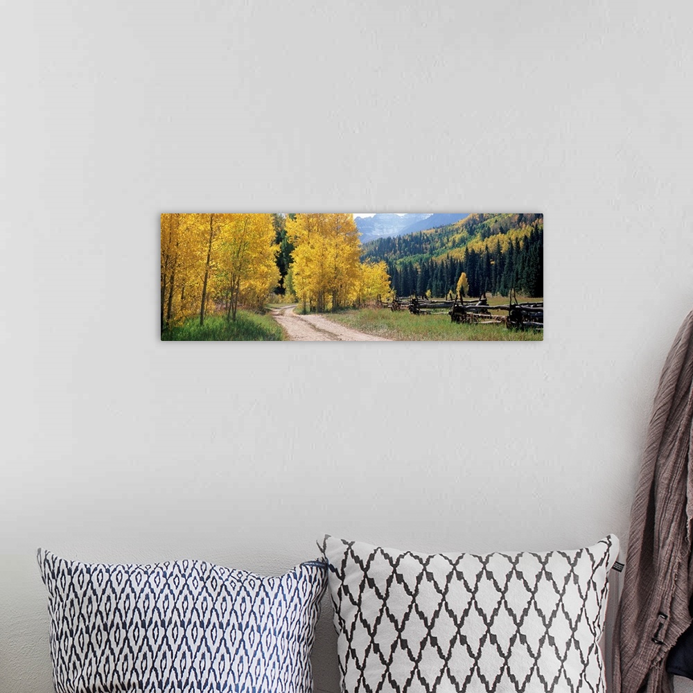 A bohemian room featuring Country road passing through mountain, Ridgway, Ouray County, Colorado, USA