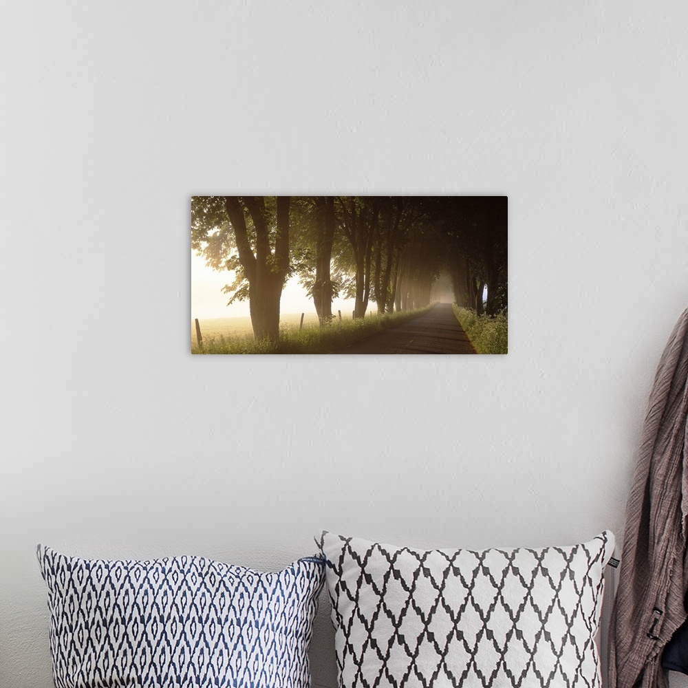 A bohemian room featuring A landscape photograph of rural lane lined with trees blocking out the glowing sunlight.