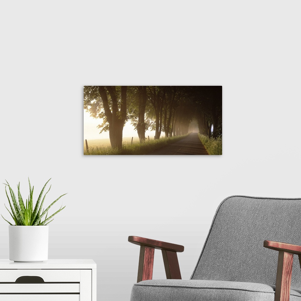 A modern room featuring A landscape photograph of rural lane lined with trees blocking out the glowing sunlight.