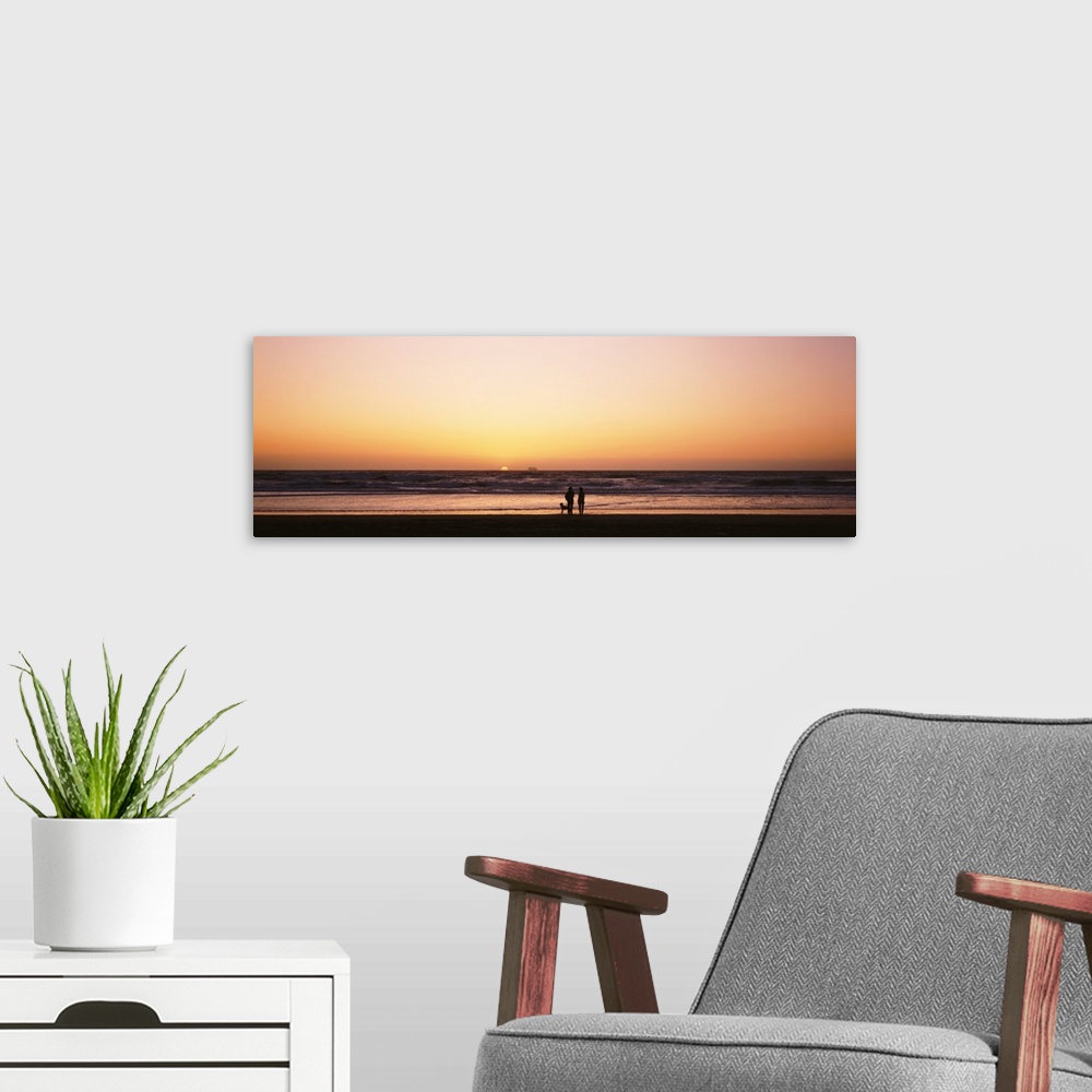 A modern room featuring Couple w/ dog at sunset on Ocean Beach Southern CA