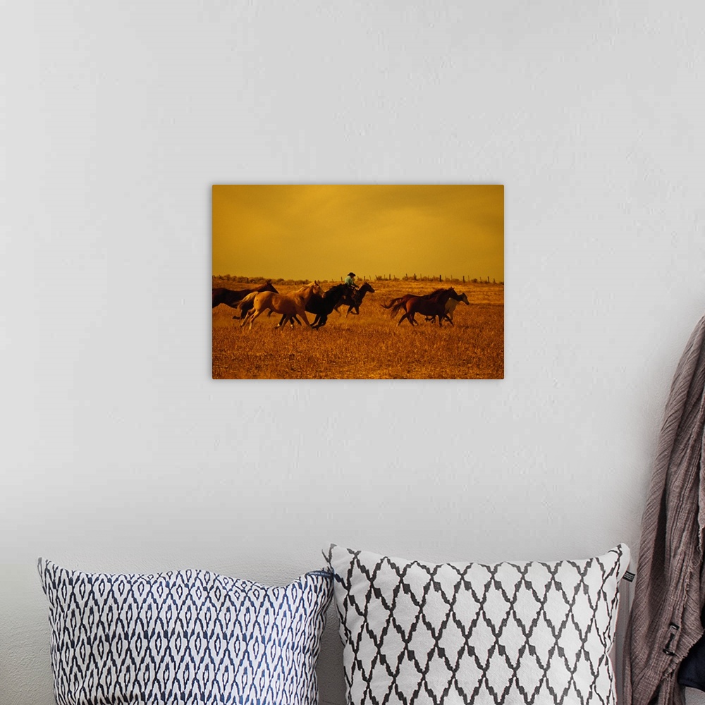 A bohemian room featuring This large piece is a photograph taken of a farmer herding many of its horses in a dry dusty fiel...