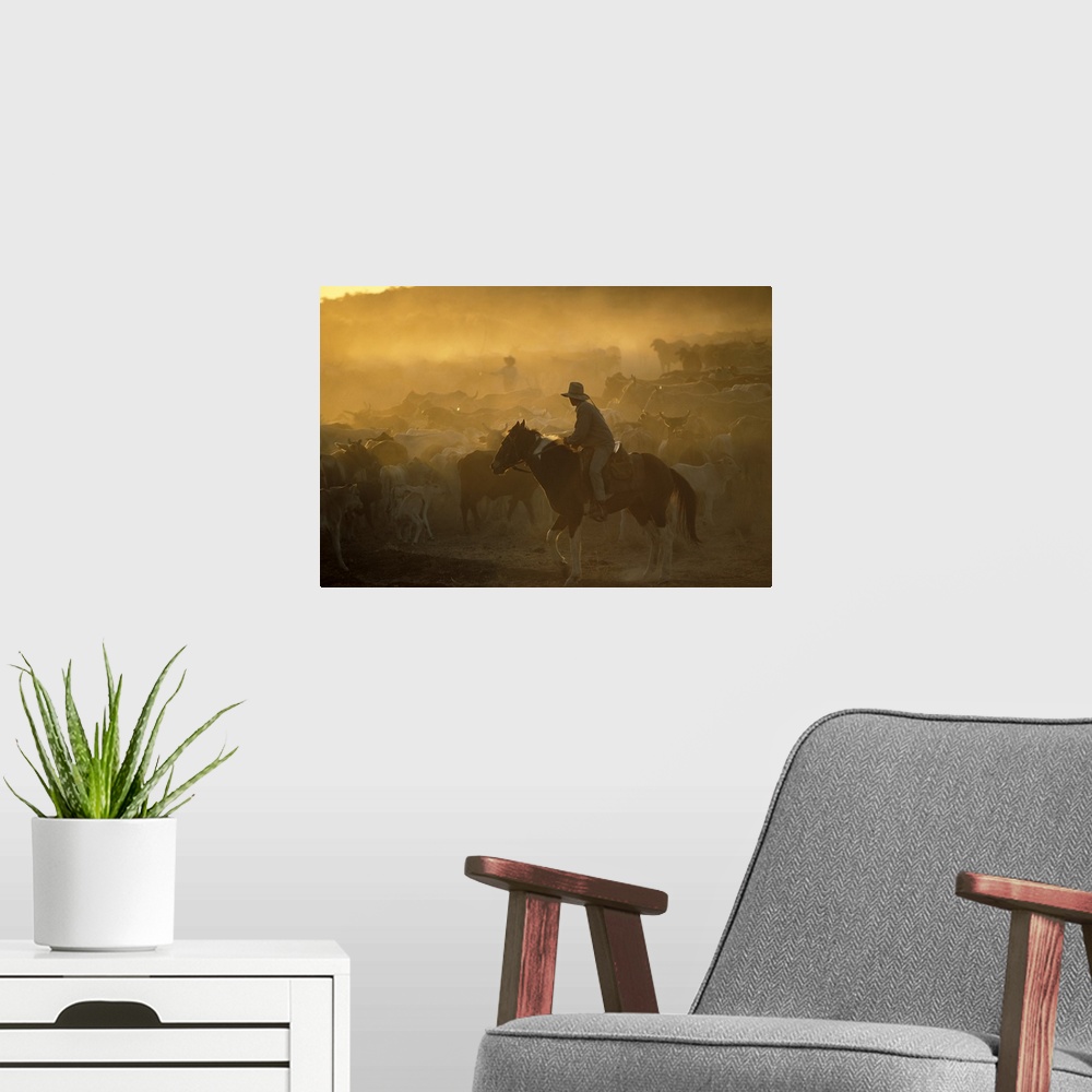 A modern room featuring A cowboy on his horse moves cattle during sun down.