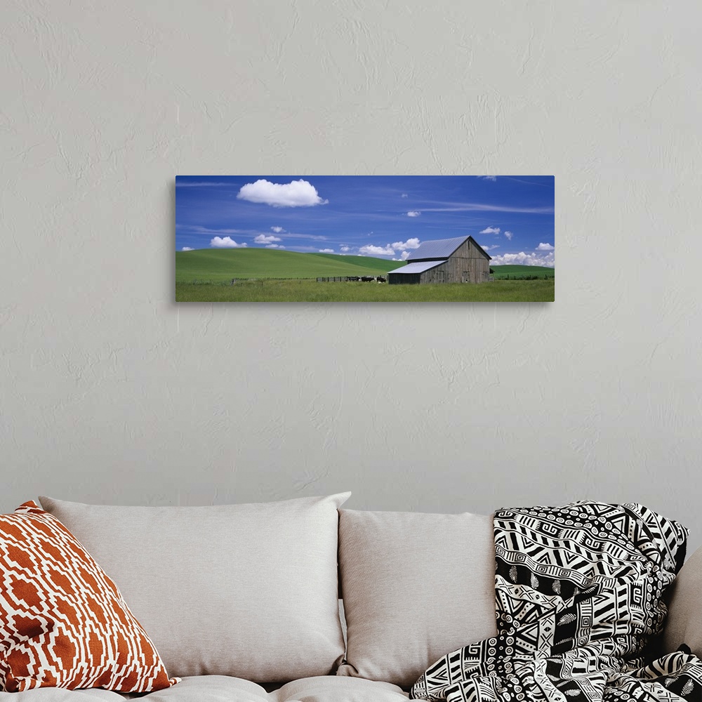 A bohemian room featuring Cows and a barn in a wheat field, Washington State