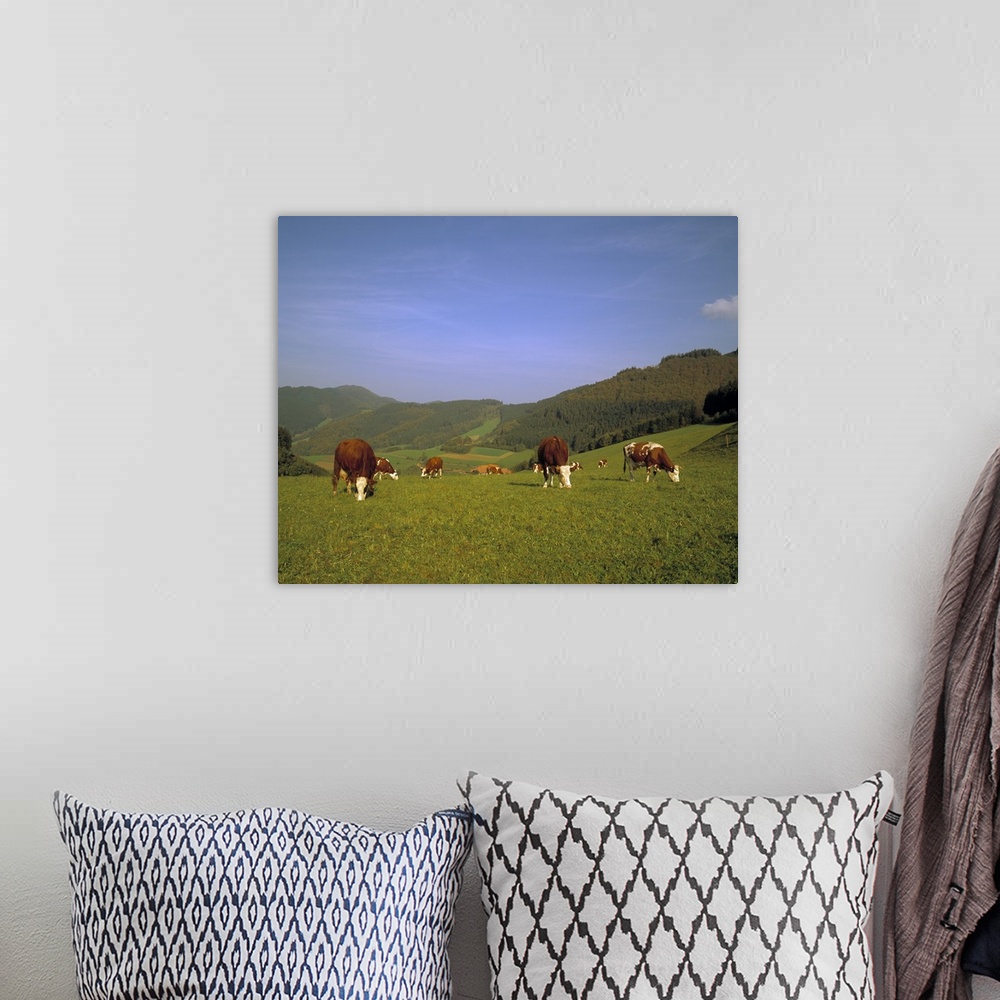 A bohemian room featuring Cows in the Alps