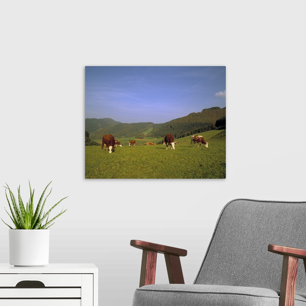 A modern room featuring Cows in the Alps