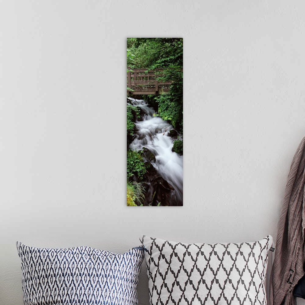 A bohemian room featuring Creek in a forest Wahkeena Creek Columbia Gorge National Scenic Area Columbia River Gorge Multnom...
