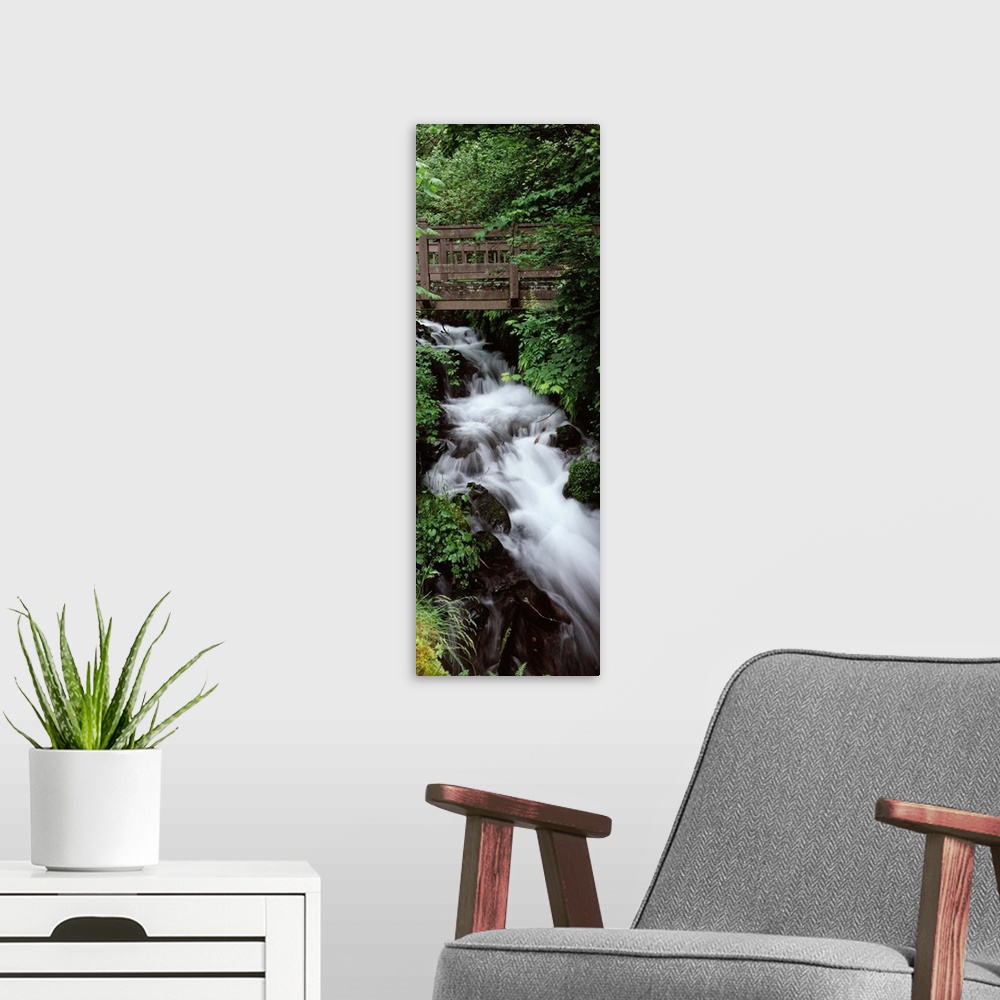 A modern room featuring Creek in a forest Wahkeena Creek Columbia Gorge National Scenic Area Columbia River Gorge Multnom...