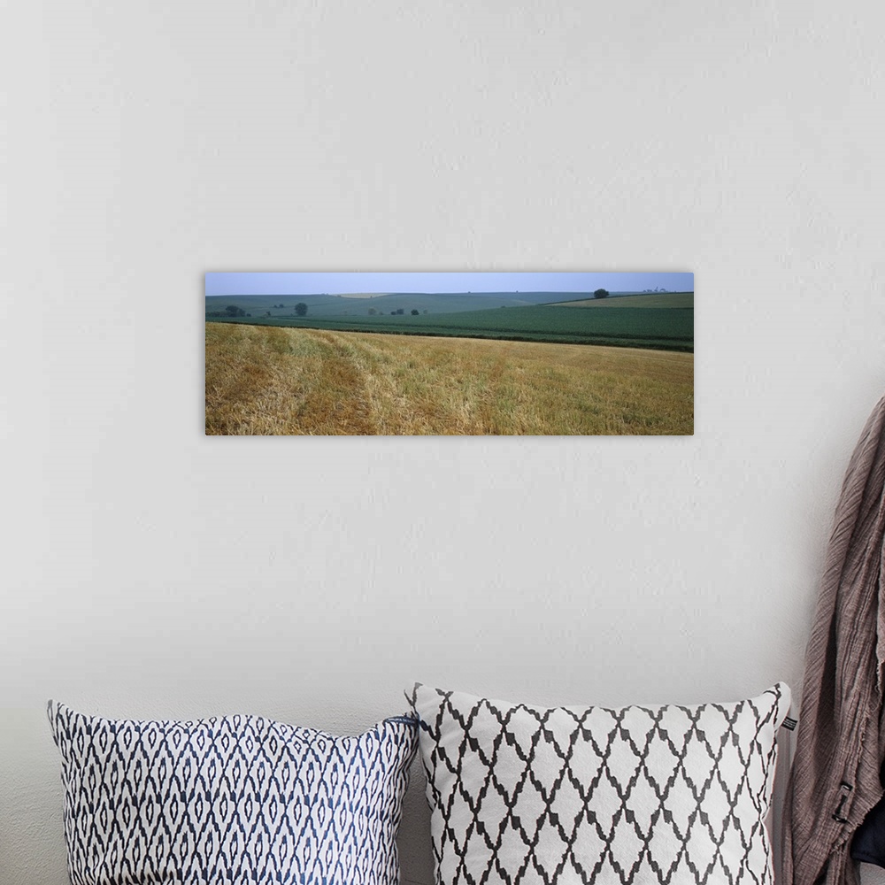 A bohemian room featuring Crop on a rolling landscape, Iowa County, Iowa