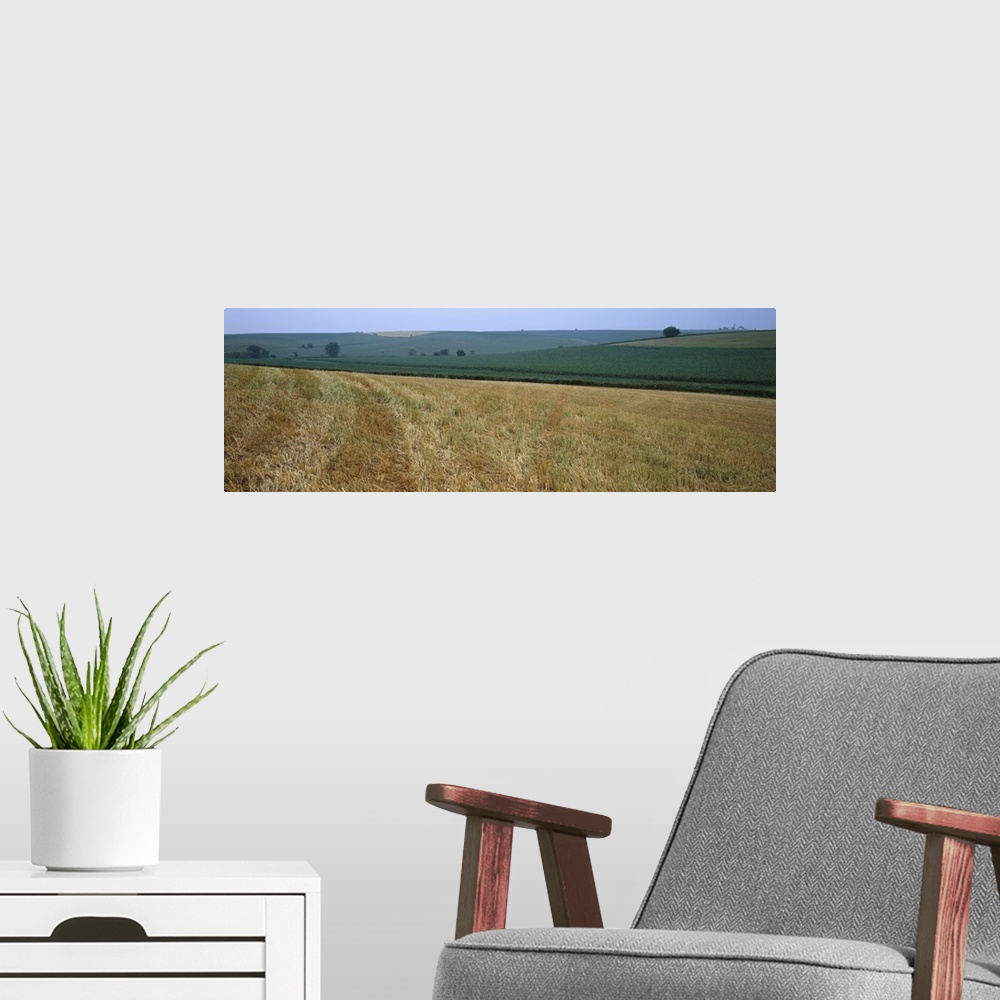 A modern room featuring Crop on a rolling landscape, Iowa County, Iowa