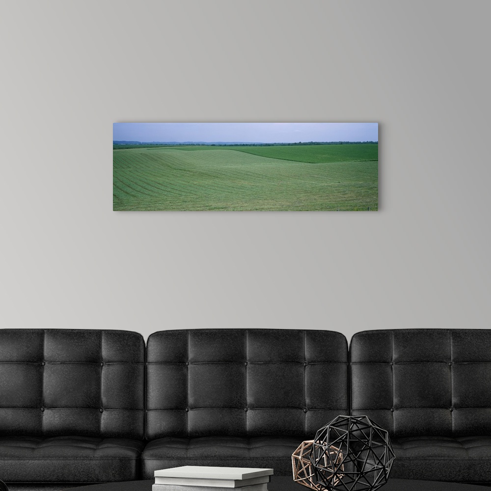 A modern room featuring Crop on a rolling landscape, Iowa County, Iowa