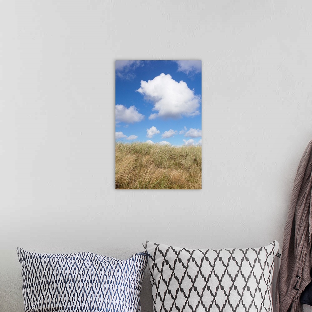 A bohemian room featuring Cumulus clouds and dune landscape, Ellenbogen, Sylt, Nordfriesland, Germany