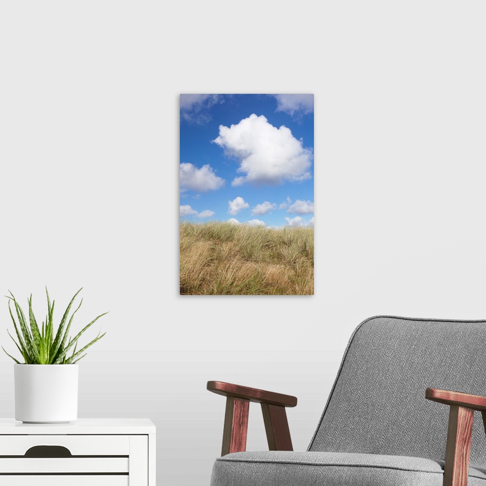 A modern room featuring Cumulus clouds and dune landscape, Ellenbogen, Sylt, Nordfriesland, Germany