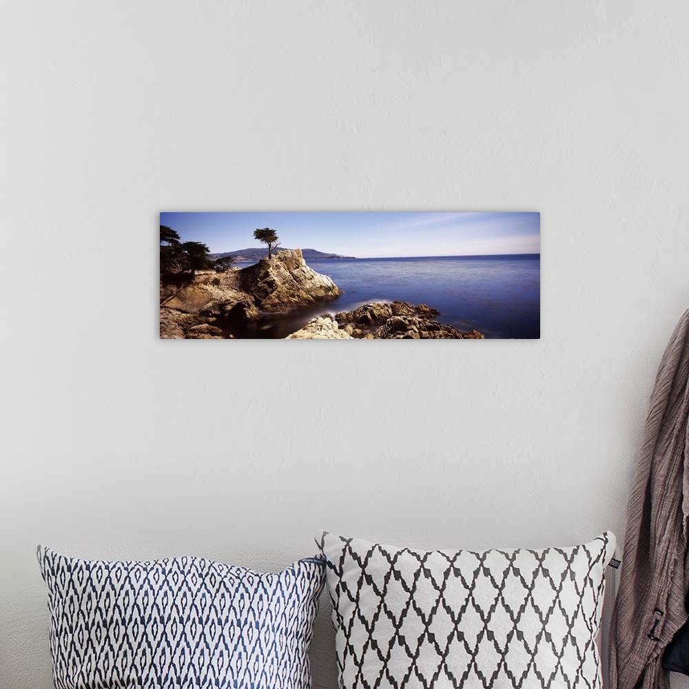 A bohemian room featuring Panoramic photograph of rocky shoreline and cliff with single tree growing near the edge.