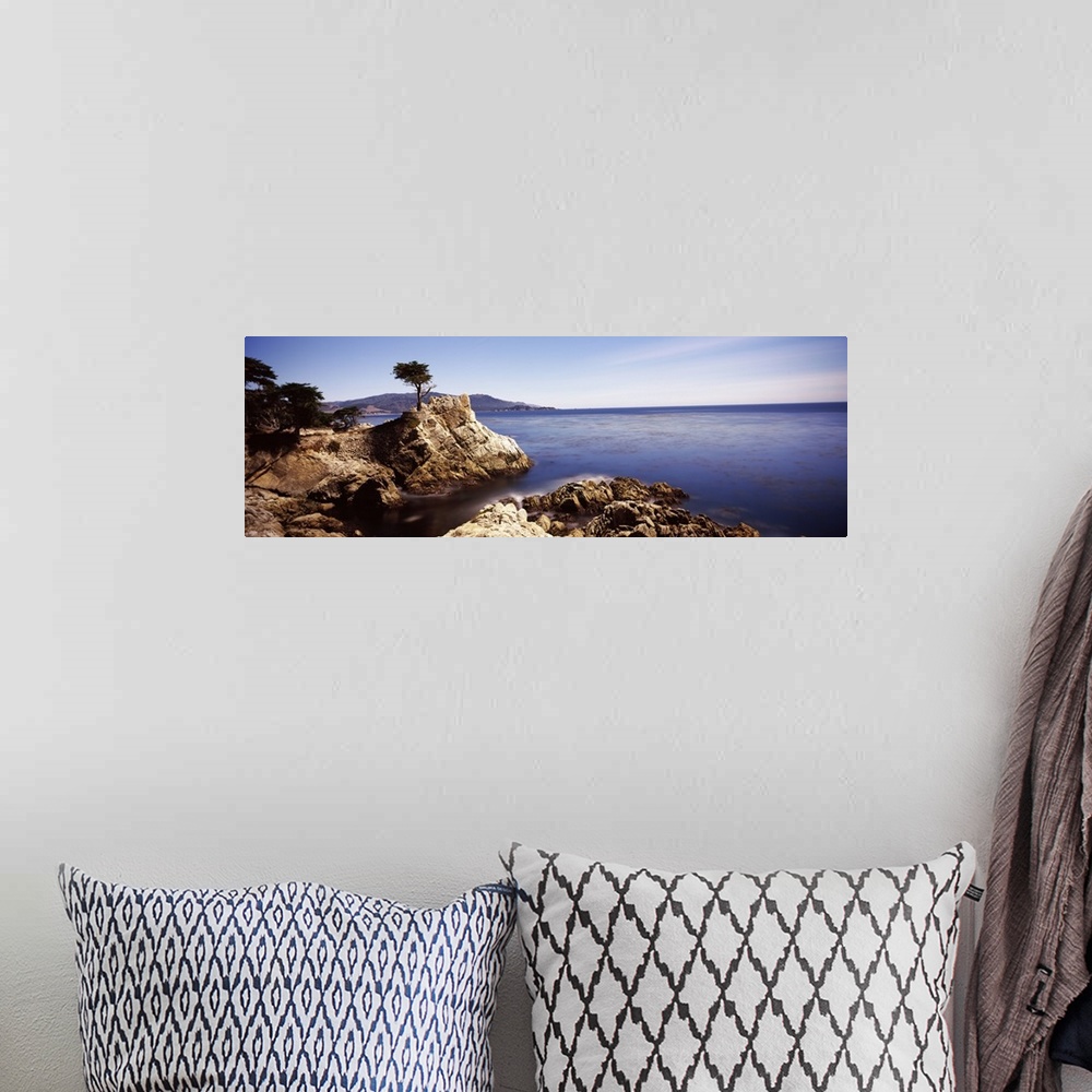 A bohemian room featuring Panoramic photograph of rocky shoreline and cliff with single tree growing near the edge.