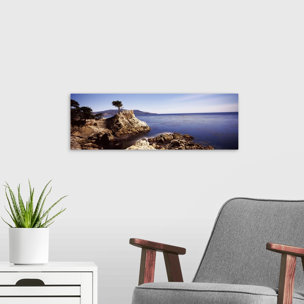 A modern room featuring Panoramic photograph of rocky shoreline and cliff with single tree growing near the edge.