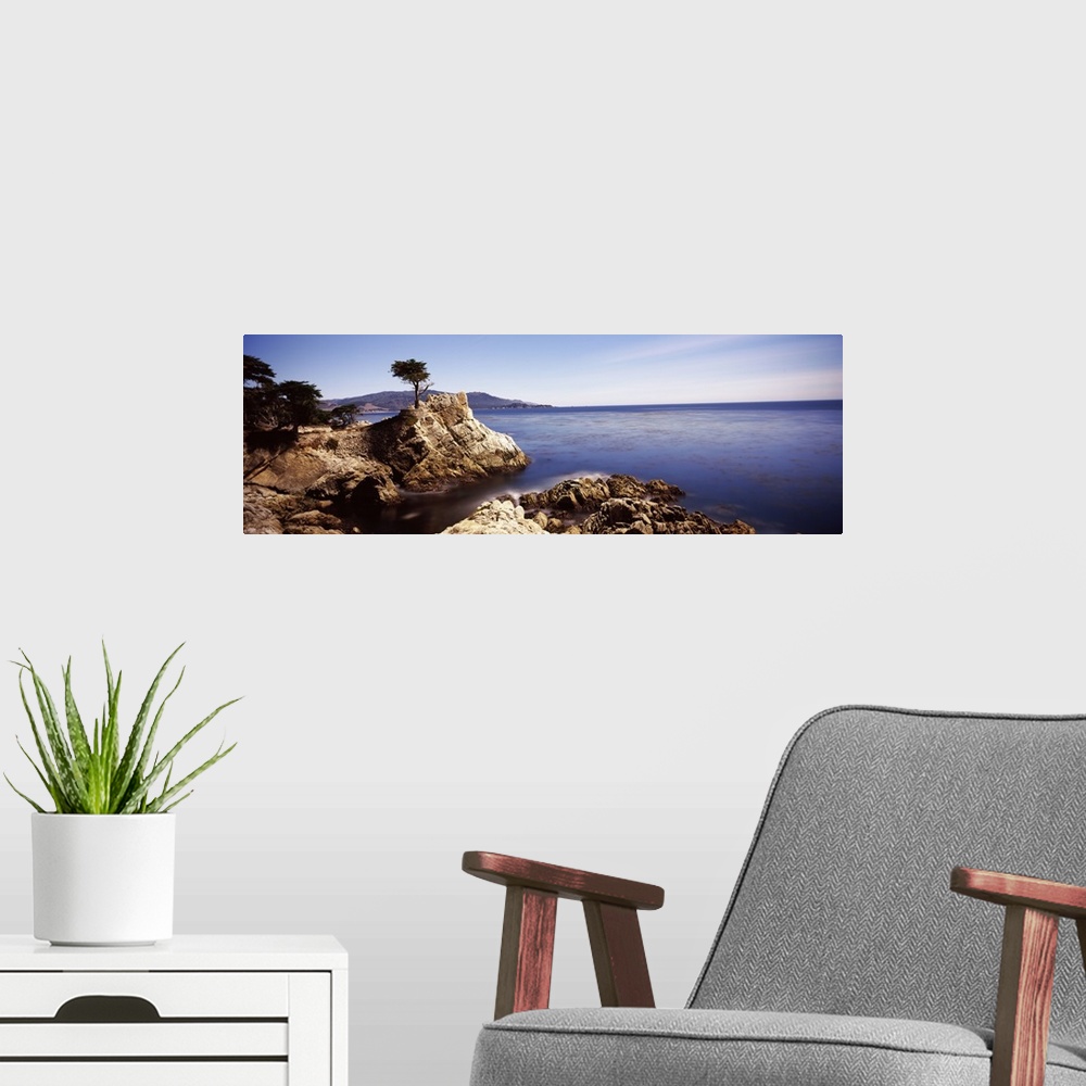 A modern room featuring Panoramic photograph of rocky shoreline and cliff with single tree growing near the edge.