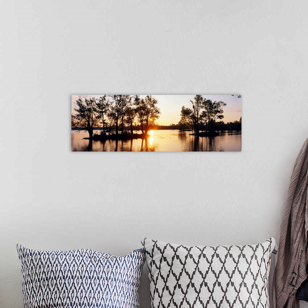 A bohemian room featuring Large horizontal photograph of cypress trees in a swamp in Louisianna (LA).