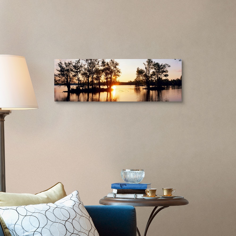 A traditional room featuring Large horizontal photograph of cypress trees in a swamp in Louisianna (LA).