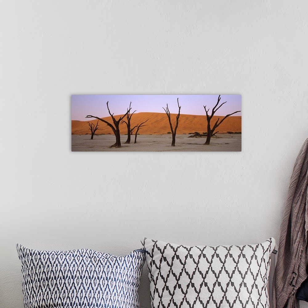 A bohemian room featuring Dead trees in a desert at sunrise Dead Vlei Sossusvlei Namib Naukluft National Park Namibia