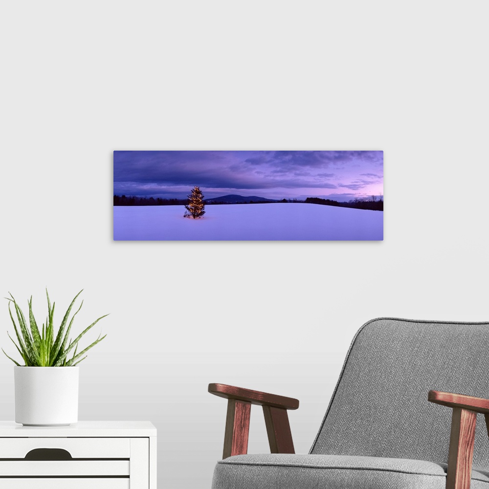 A modern room featuring This panoramic photograph captures the most festive tree in New England with the sunset reflectin...