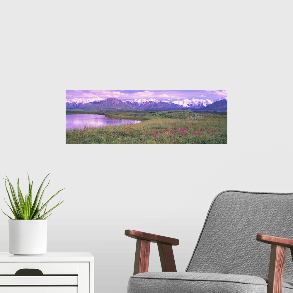 A modern room featuring Denali National Park AK