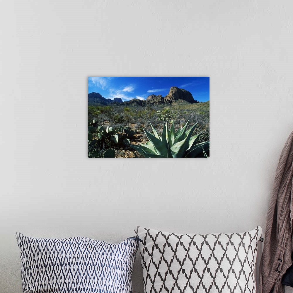 A bohemian room featuring This oversized piece is a picture taken of a desert with mountainous terrain in the background an...