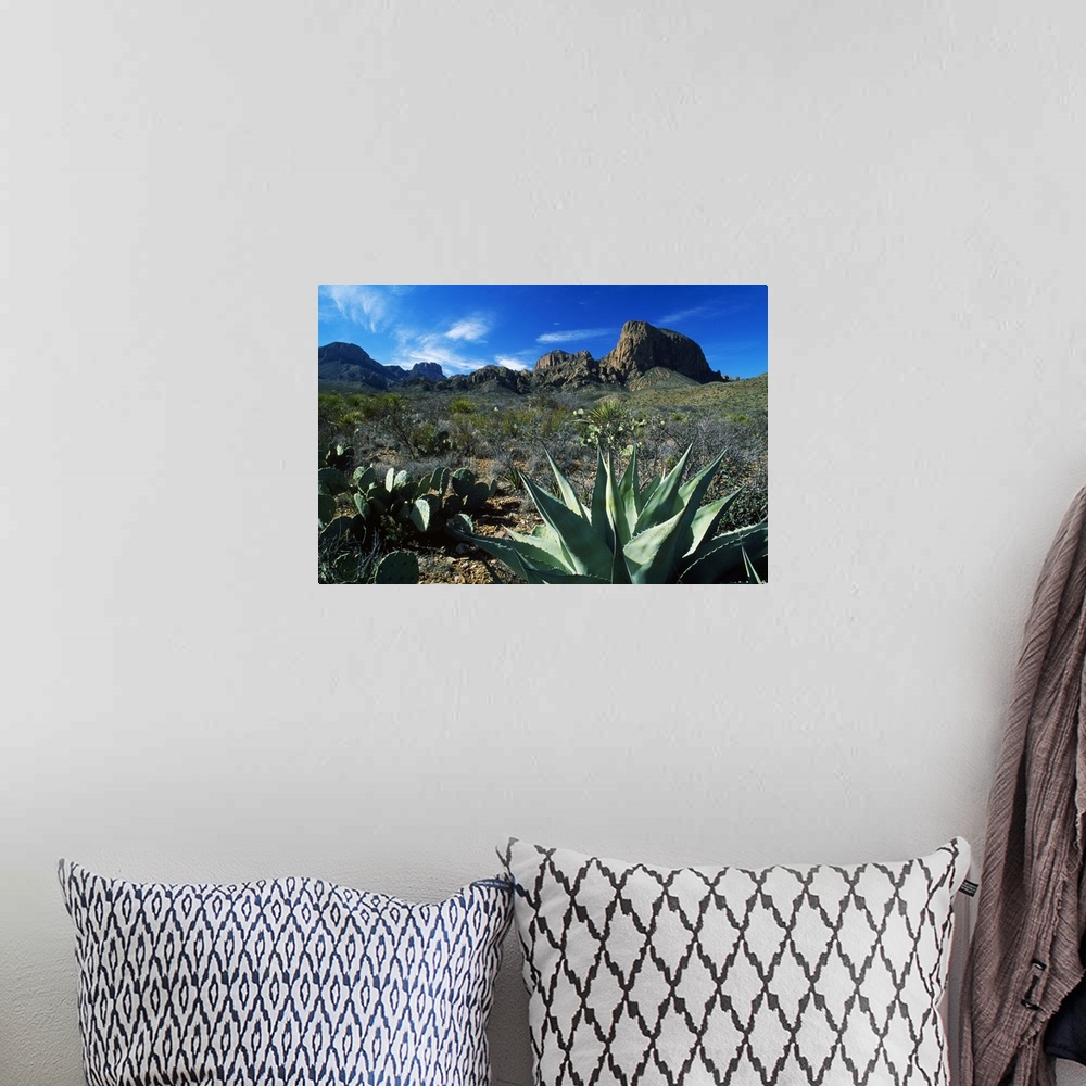 A bohemian room featuring This oversized piece is a picture taken of a desert with mountainous terrain in the background an...