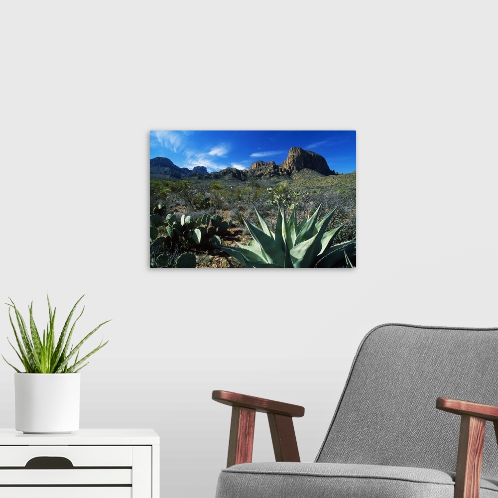 A modern room featuring This oversized piece is a picture taken of a desert with mountainous terrain in the background an...