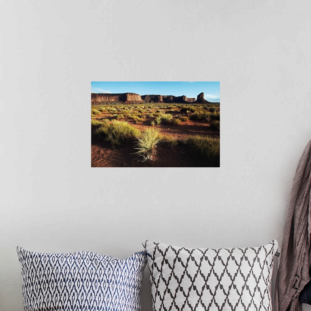 A bohemian room featuring Desert Landscape Of Monument Valley