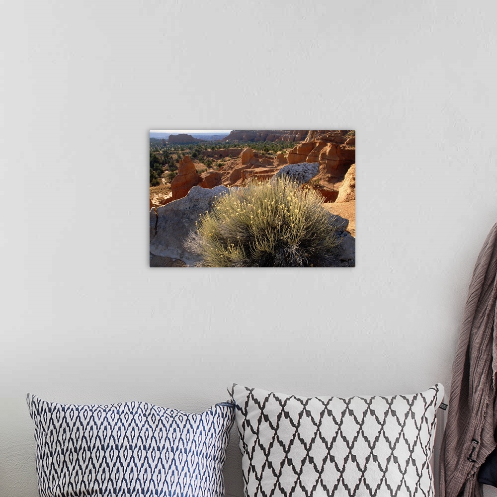 A bohemian room featuring Large landscape photograph of big sandstone rocks surrounded by desert vegetation, a large bush a...