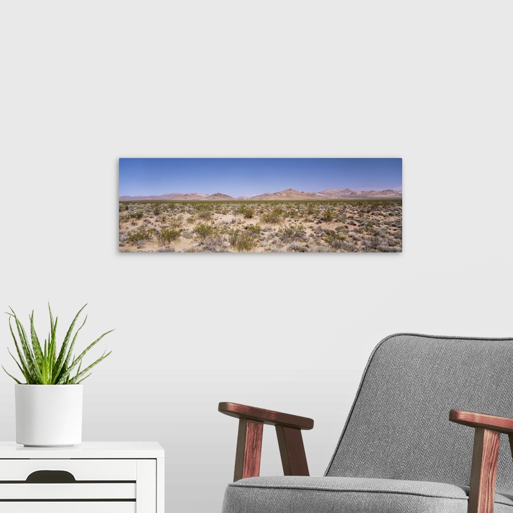 A modern room featuring Desert nr Death Valley CA