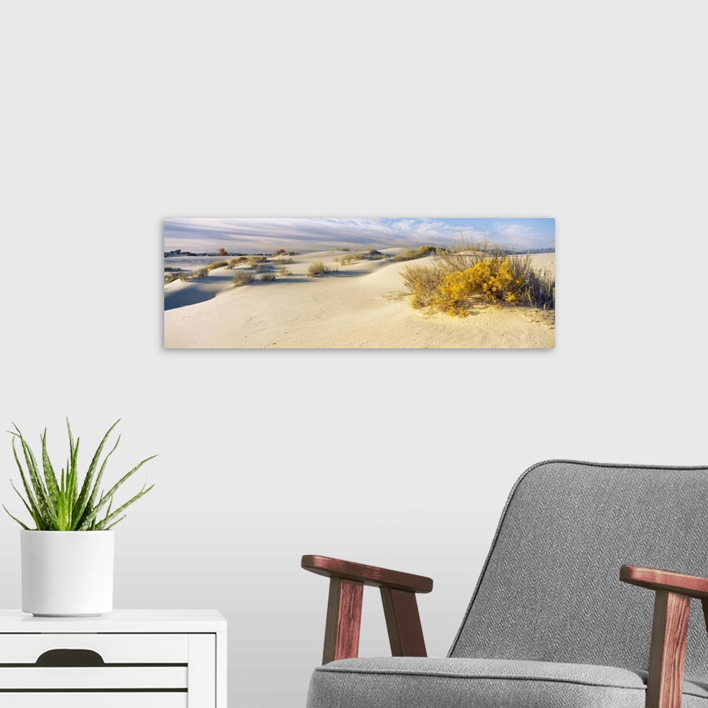 A modern room featuring Desert plants in a desert White Sands National Monument New Mexico