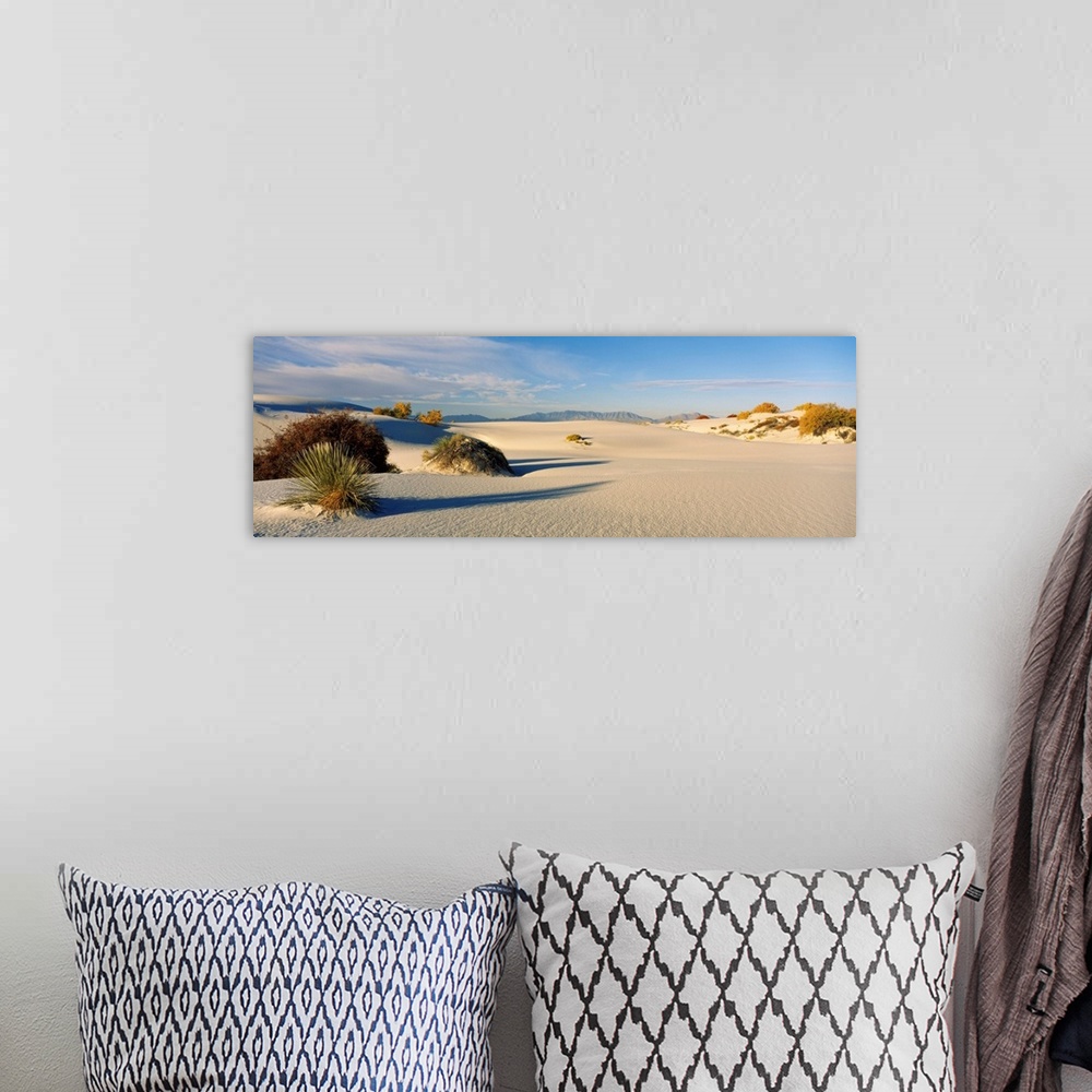 A bohemian room featuring Plants on sand dunes, White Sands National Monument, New Mexico, USA