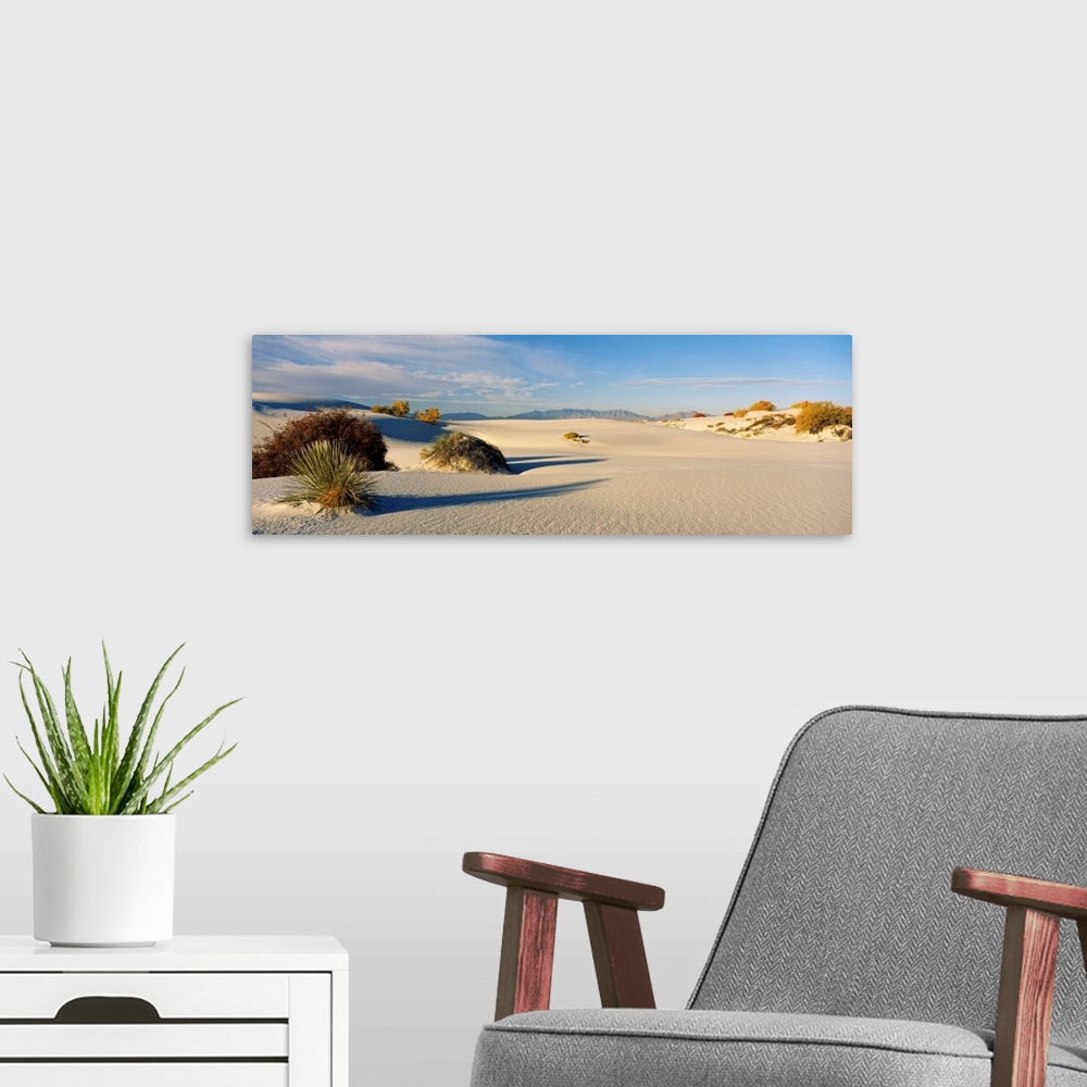 A modern room featuring Plants on sand dunes, White Sands National Monument, New Mexico, USA