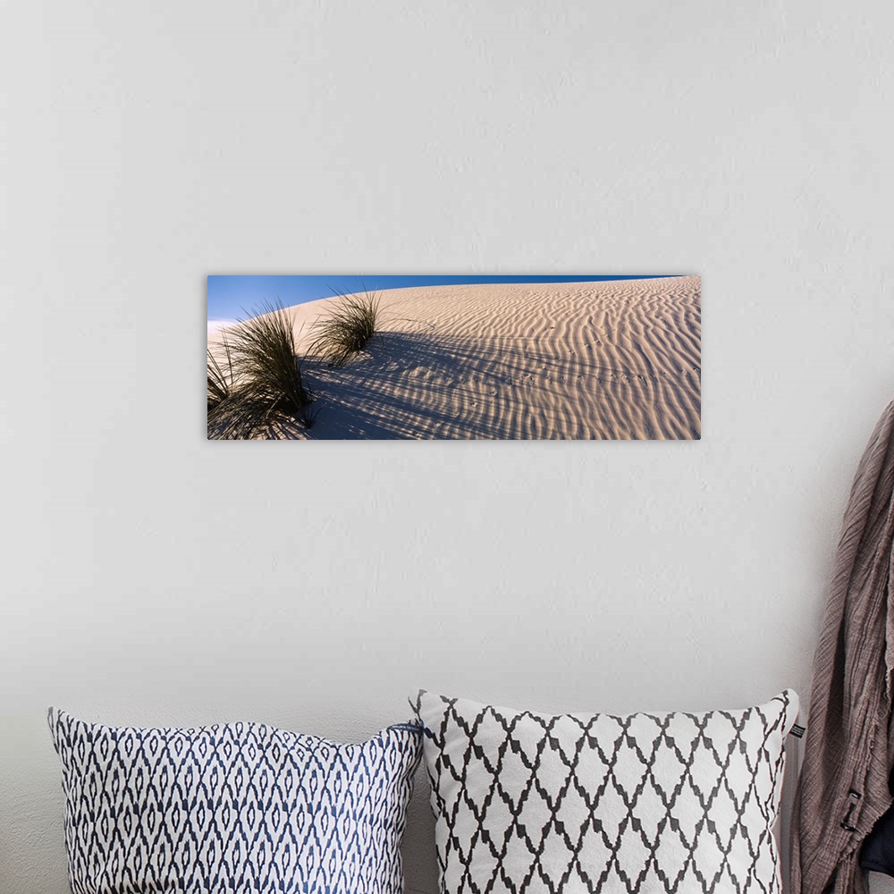 A bohemian room featuring Desert plants in a desert, White Sands National Monument, New Mexico