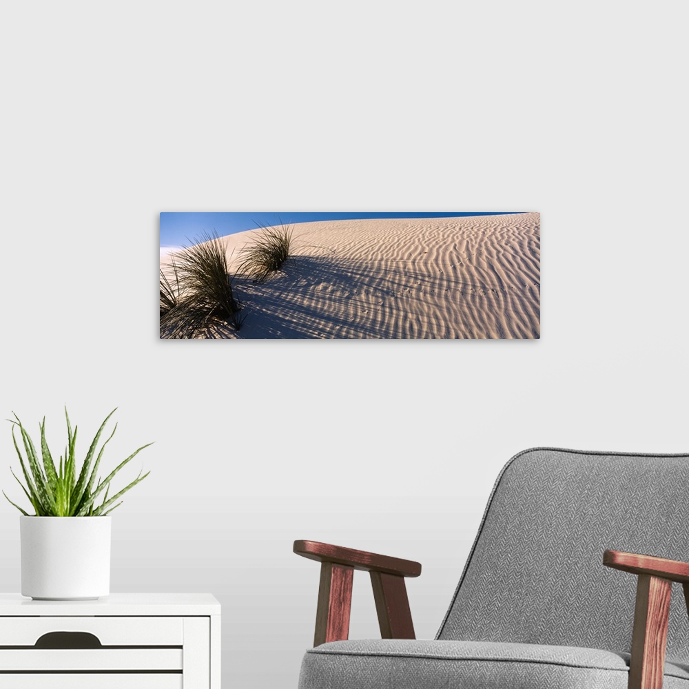A modern room featuring Desert plants in a desert, White Sands National Monument, New Mexico