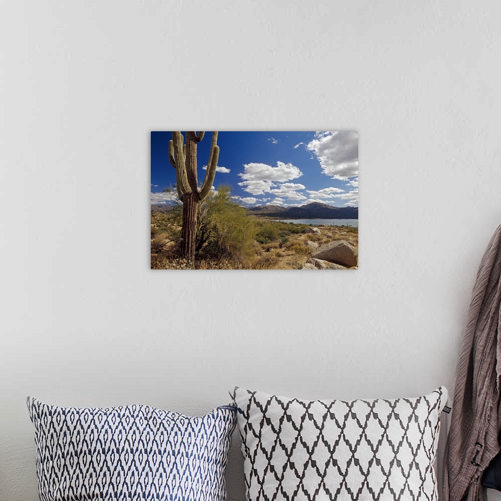 A bohemian room featuring Landscape, big wall hanging of a saguaro cactus in the desert, in front of a mountain range benea...