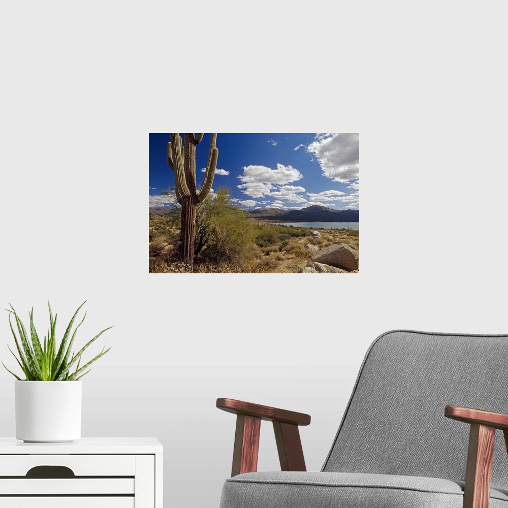 A modern room featuring Landscape, big wall hanging of a saguaro cactus in the desert, in front of a mountain range benea...
