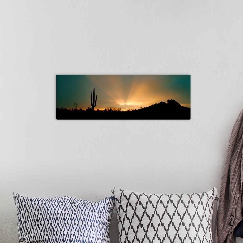 A bohemian room featuring The sun's rays break through a cloud over a desert in Phoenix, Arizona (AZ) as a lone cactus look...