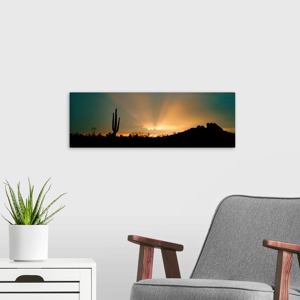 A modern room featuring The sun's rays break through a cloud over a desert in Phoenix, Arizona (AZ) as a lone cactus look...
