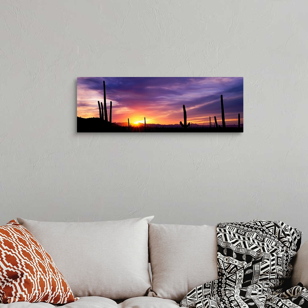 A bohemian room featuring Panoramic photograph shows a bare wilderness filled with the silhouettes of scattered cactus plan...