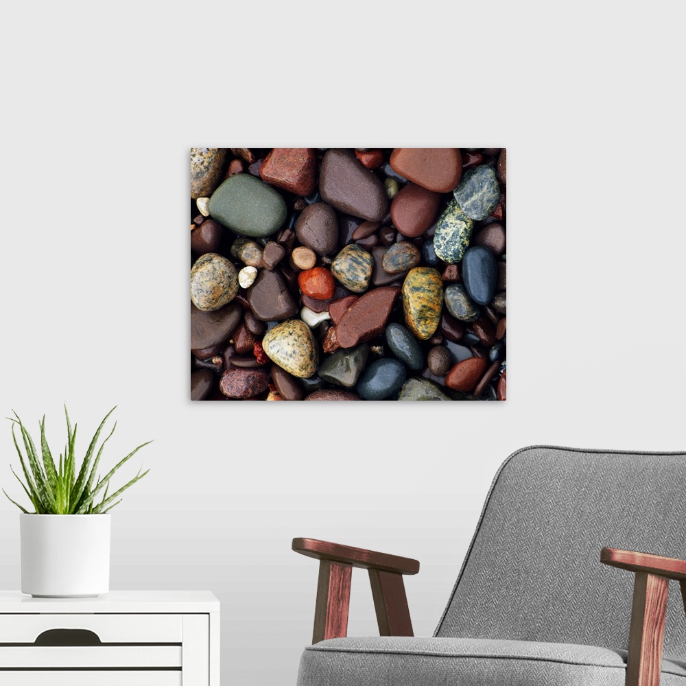 A modern room featuring Photograph of collage of rocks varying in color, size, and shape.   Some of the rocks are smoothe...