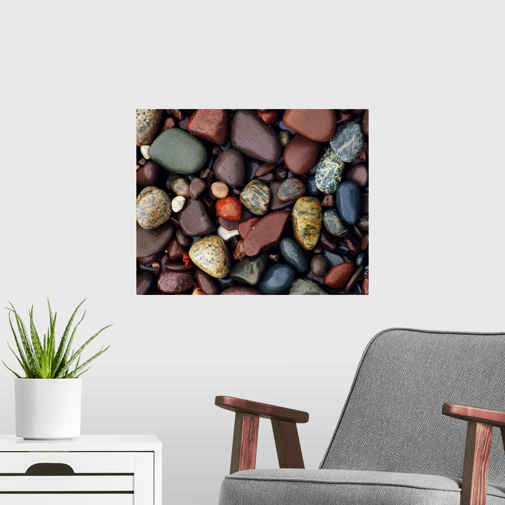 A modern room featuring Photograph of collage of rocks varying in color, size, and shape.   Some of the rocks are smoothe...