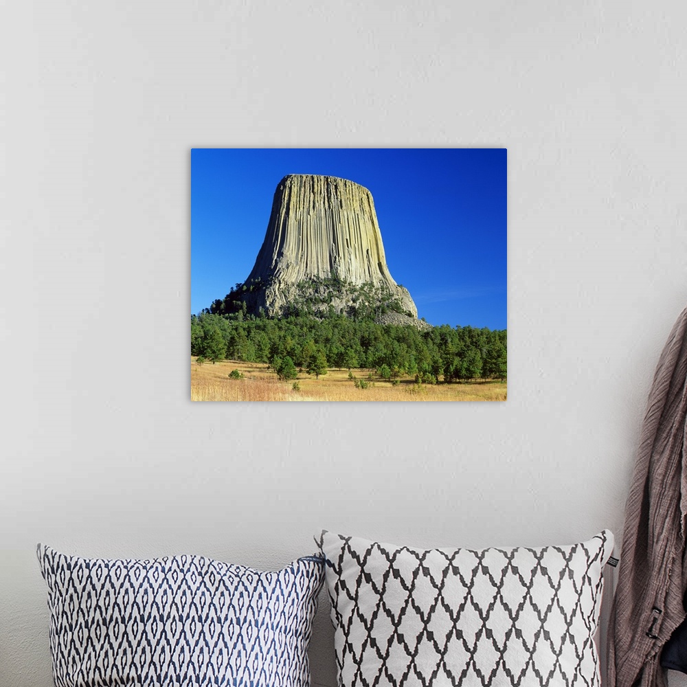 A bohemian room featuring Devils Tower, blue sky, Devils Tower National Monument, Wyoming